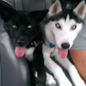 Meet your Posher, Grace